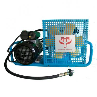 100L呼吸空气压缩机（自行停机）